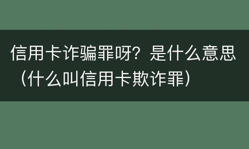 信用卡诈骗罪呀？是什么意思（什么叫信用卡欺诈罪）