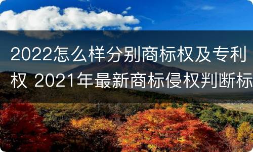 2022怎么样分别商标权及专利权 2021年最新商标侵权判断标准