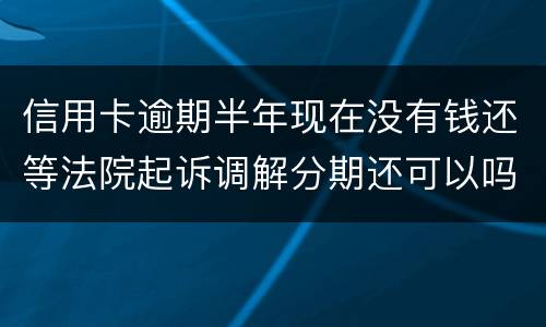 信用卡逾期半年现在没有钱还等法院起诉调解分期还可以吗