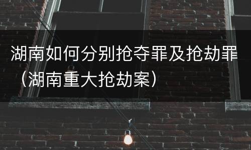 湖南如何分别抢夺罪及抢劫罪（湖南重大抢劫案）