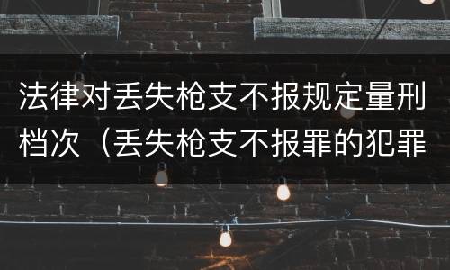 法律对丢失枪支不报规定量刑档次（丢失枪支不报罪的犯罪主体只能是）