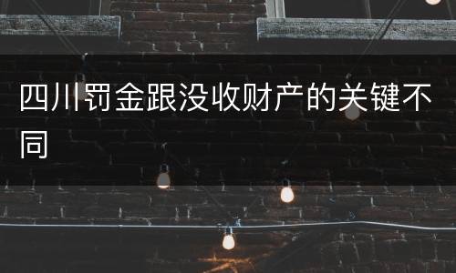 四川罚金跟没收财产的关键不同