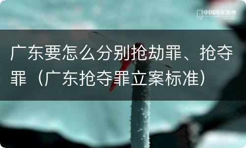 广东要怎么分别抢劫罪、抢夺罪（广东抢夺罪立案标准）