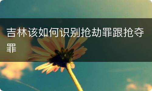 吉林该如何识别抢劫罪跟抢夺罪