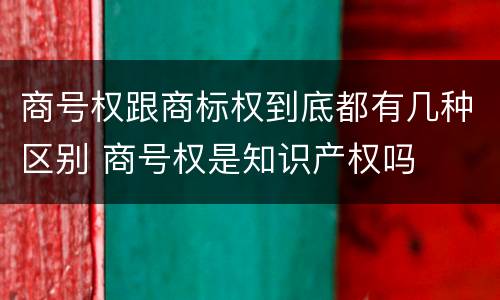 商号权跟商标权到底都有几种区别 商号权是知识产权吗