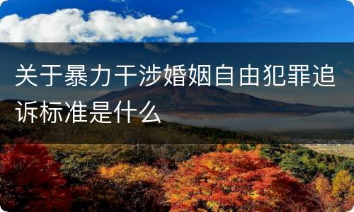 关于暴力干涉婚姻自由犯罪追诉标准是什么