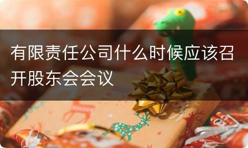 有限责任公司什么时候应该召开股东会会议
