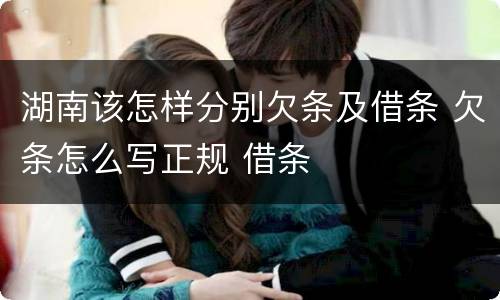 湖南该怎样分别欠条及借条 欠条怎么写正规 借条