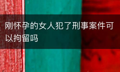 刚怀孕的女人犯了刑事案件可以拘留吗