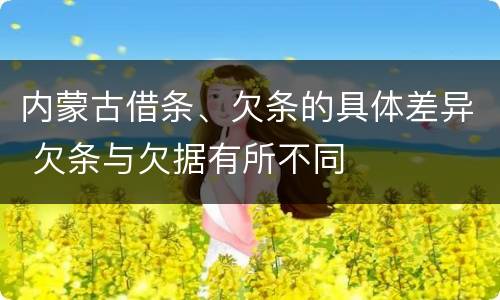 内蒙古借条、欠条的具体差异 欠条与欠据有所不同