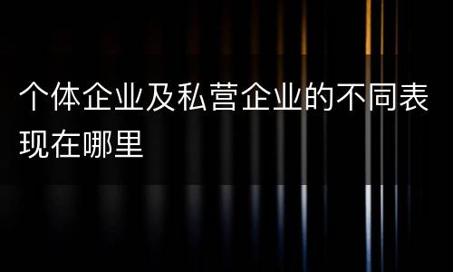 个体企业及私营企业的不同表现在哪里