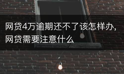 网贷4万逾期还不了该怎样办,网贷需要注意什么
