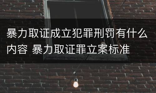 暴力取证成立犯罪刑罚有什么内容 暴力取证罪立案标准