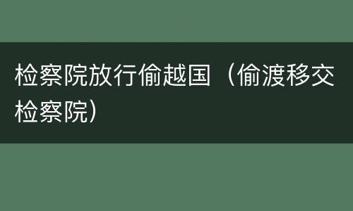 检察院放行偷越国（偷渡移交检察院）