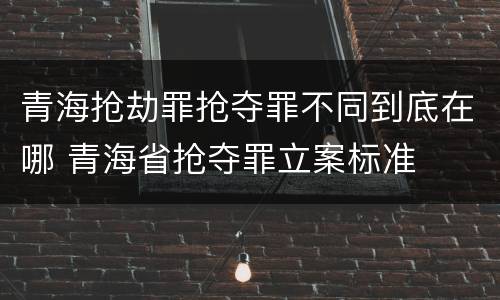 青海抢劫罪抢夺罪不同到底在哪 青海省抢夺罪立案标准