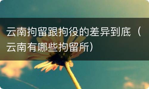 云南拘留跟拘役的差异到底（云南有哪些拘留所）