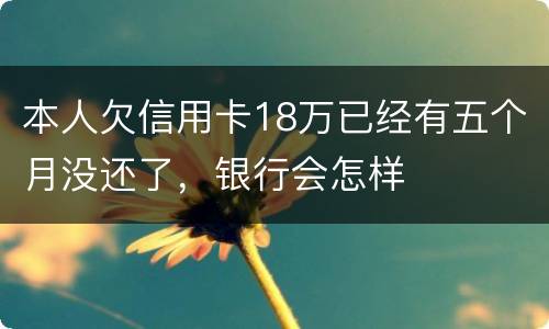 本人欠信用卡18万已经有五个月没还了，银行会怎样