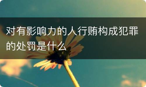 对有影响力的人行贿构成犯罪的处罚是什么