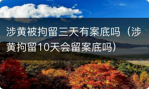 涉黄被拘留三天有案底吗（涉黄拘留10天会留案底吗）