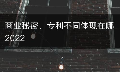 商业秘密、专利不同体现在哪2022