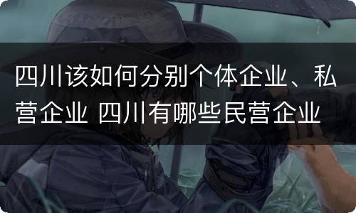 四川该如何分别个体企业、私营企业 四川有哪些民营企业