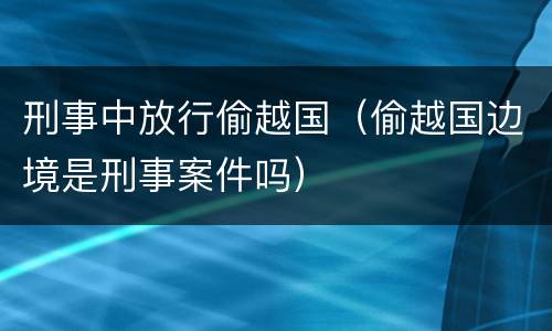 刑事中放行偷越国（偷越国边境是刑事案件吗）