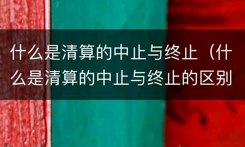 什么是清算的中止与终止（什么是清算的中止与终止的区别）