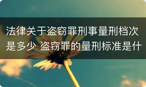 法律关于盗窃罪刑事量刑档次是多少 盗窃罪的量刑标准是什么