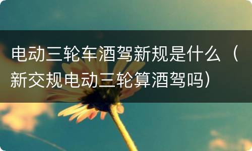 电动三轮车酒驾新规是什么（新交规电动三轮算酒驾吗）