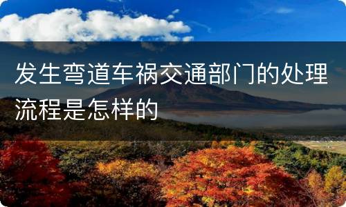 发生弯道车祸交通部门的处理流程是怎样的