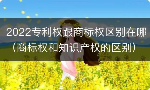 2022专利权跟商标权区别在哪（商标权和知识产权的区别）