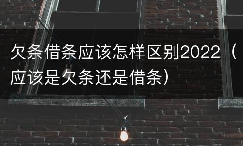 欠条借条应该怎样区别2022（应该是欠条还是借条）