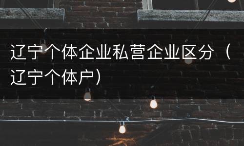 辽宁个体企业私营企业区分（辽宁个体户）