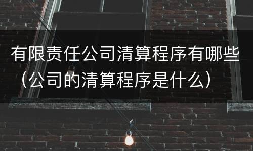 有限责任公司清算程序有哪些（公司的清算程序是什么）