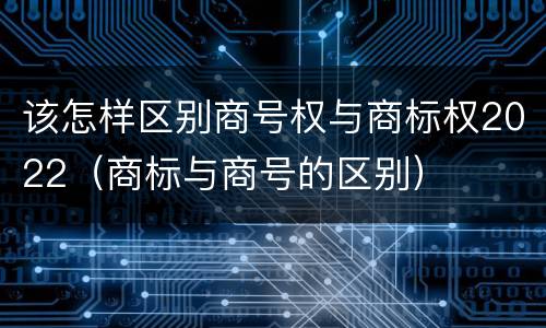 该怎样区别商号权与商标权2022（商标与商号的区别）