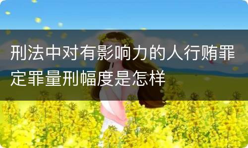 刑法中对有影响力的人行贿罪定罪量刑幅度是怎样