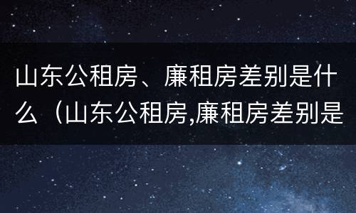 山东公租房、廉租房差别是什么（山东公租房,廉租房差别是什么意思）