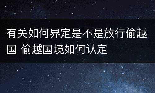有关如何界定是不是放行偷越国 偷越国境如何认定