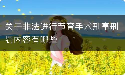 关于非法进行节育手术刑事刑罚内容有哪些
