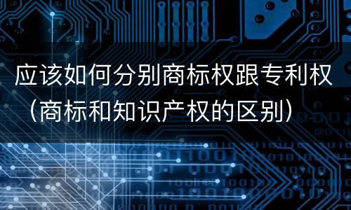应该如何分别商标权跟专利权（商标和知识产权的区别）