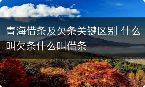 青海借条及欠条关键区别 什么叫欠条什么叫借条
