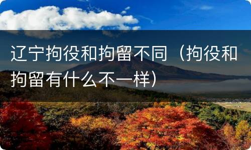 辽宁拘役和拘留不同（拘役和拘留有什么不一样）