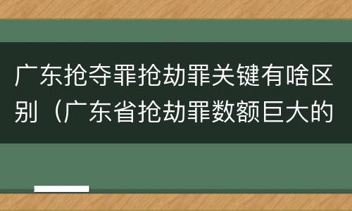 广东抢夺罪抢劫罪关键有啥区别（广东省抢劫罪数额巨大的标准）