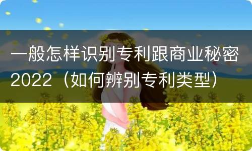 一般怎样识别专利跟商业秘密2022（如何辨别专利类型）