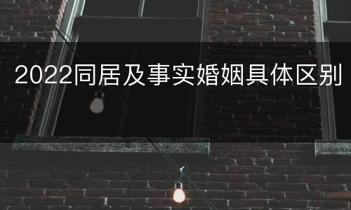2022同居及事实婚姻具体区别