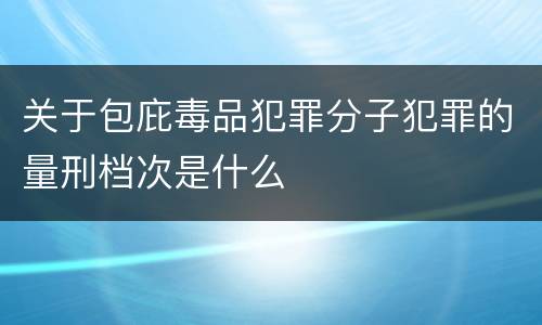 关于包庇毒品犯罪分子犯罪的量刑档次是什么
