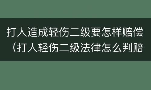 打人造成轻伤二级要怎样赔偿（打人轻伤二级法律怎么判赔多少钱合适）