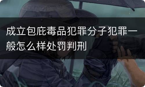 成立包庇毒品犯罪分子犯罪一般怎么样处罚判刑