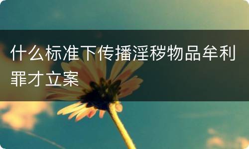 什么标准下传播淫秽物品牟利罪才立案
