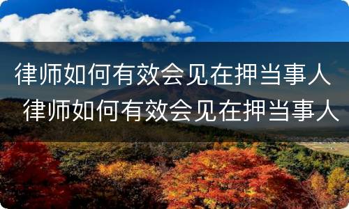 律师如何有效会见在押当事人 律师如何有效会见在押当事人